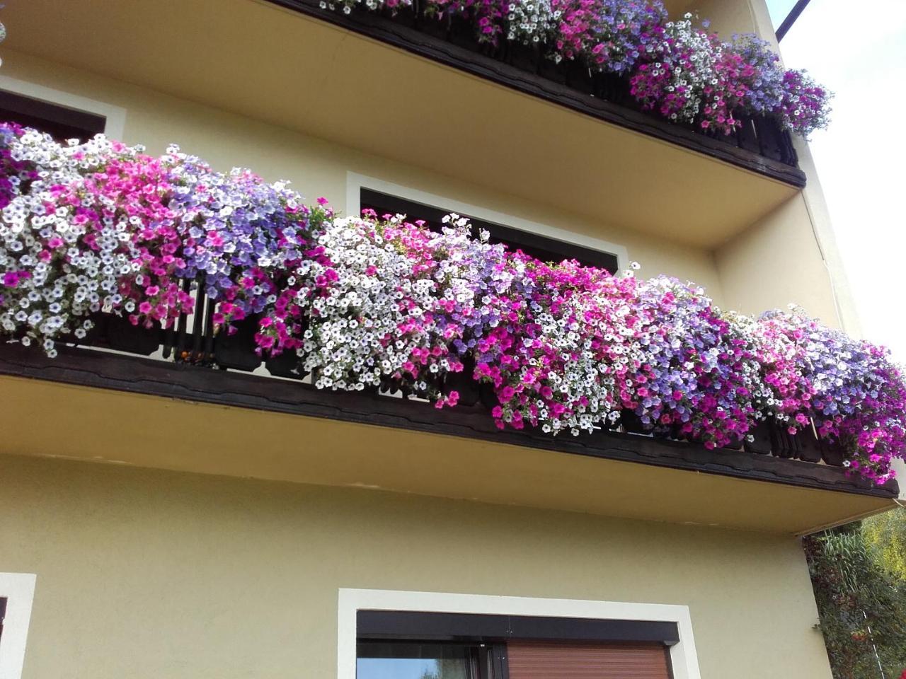 Appartement - Ferienwohnungen - Gaestehaus Gabriele 法克湖畔杜罗博拉赫 外观 照片