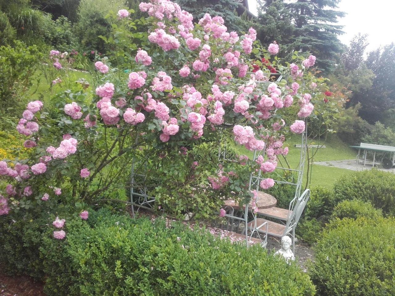Appartement - Ferienwohnungen - Gaestehaus Gabriele 法克湖畔杜罗博拉赫 外观 照片