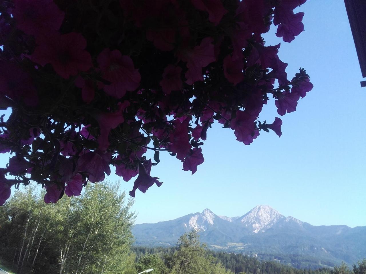 Appartement - Ferienwohnungen - Gaestehaus Gabriele 法克湖畔杜罗博拉赫 外观 照片