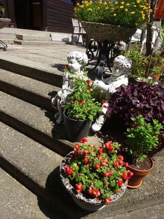 Appartement - Ferienwohnungen - Gaestehaus Gabriele 法克湖畔杜罗博拉赫 外观 照片