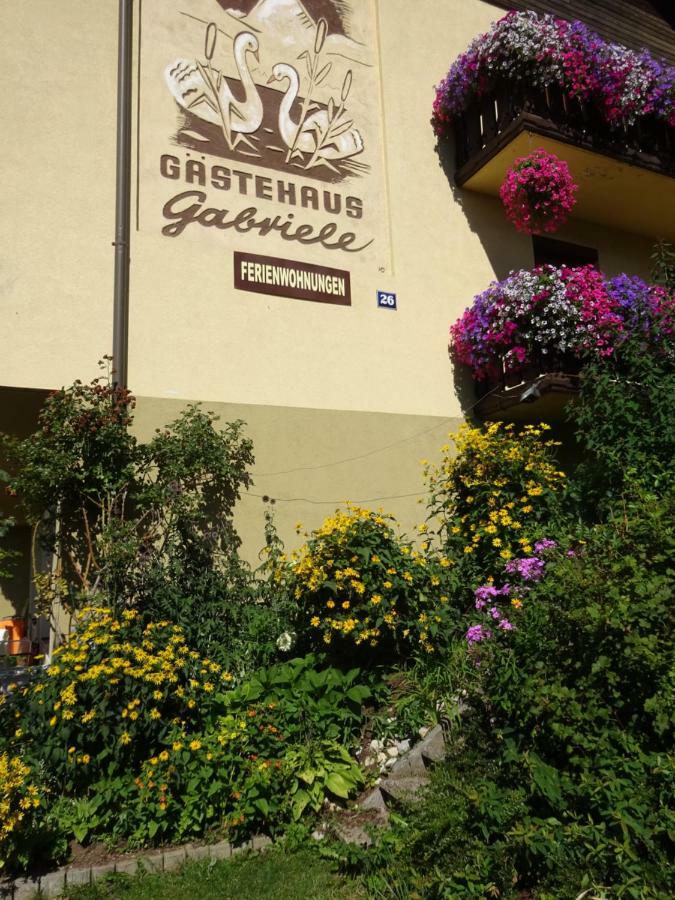 Appartement - Ferienwohnungen - Gaestehaus Gabriele 法克湖畔杜罗博拉赫 外观 照片