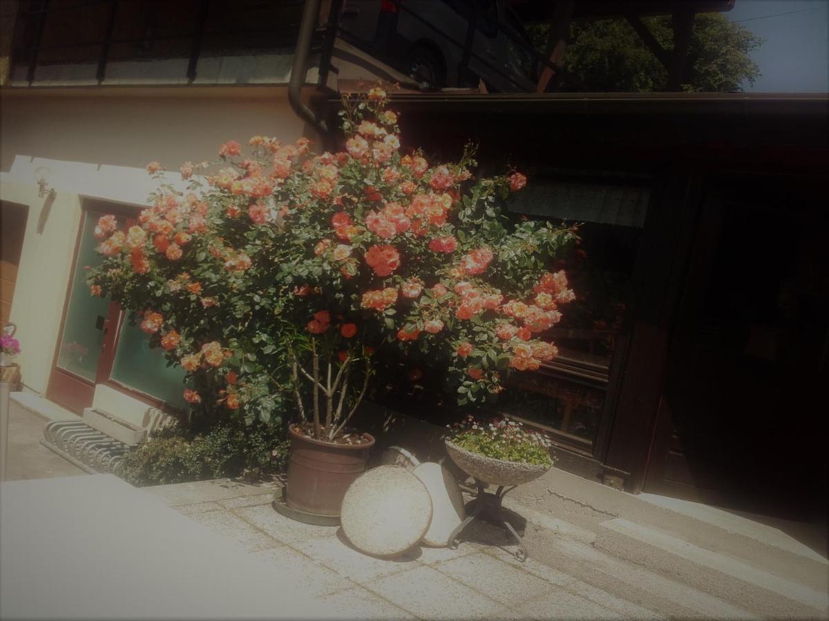 Appartement - Ferienwohnungen - Gaestehaus Gabriele 法克湖畔杜罗博拉赫 外观 照片